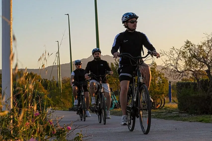 Drei Radfahrende auf einem ruhigen asphaltierten Weg im tiefen Abendlicht, im Vordergrund rosa Wildblumen