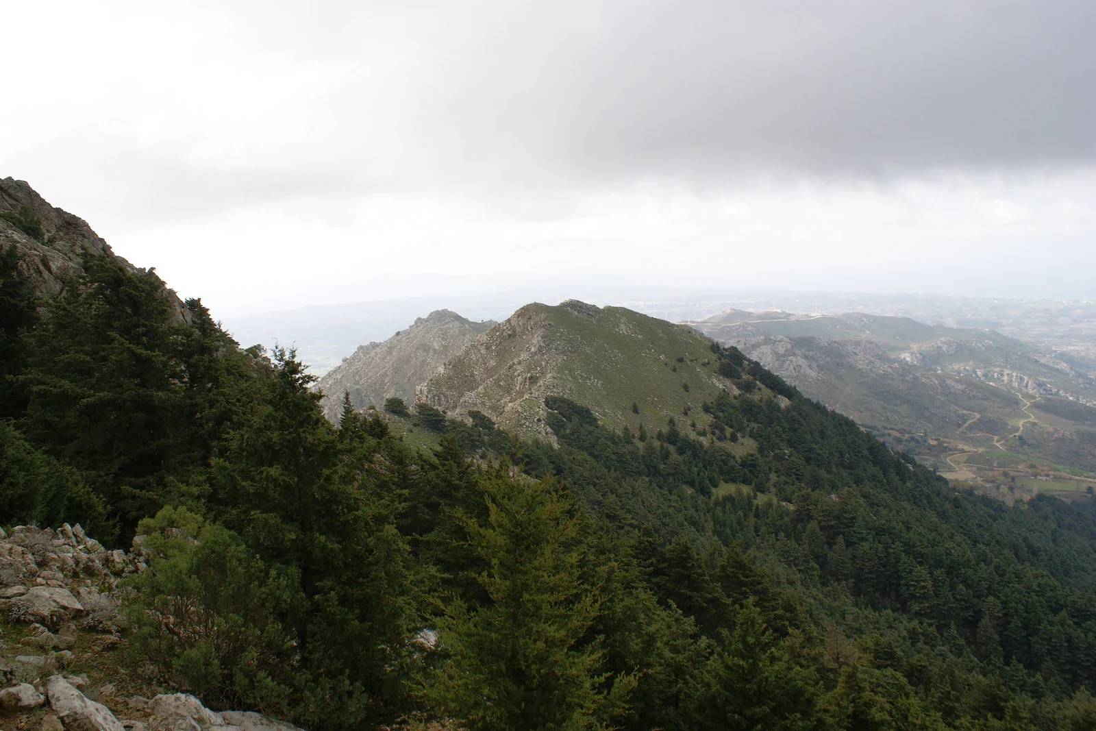 Mount Dikaios